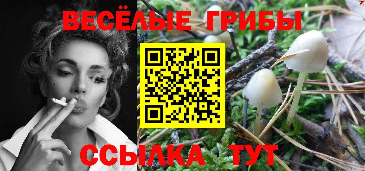 Псилоцибиновые грибы Psilocybe  Вход с VPN  Галлюциногенные грибы ЛСД  Воткинск 