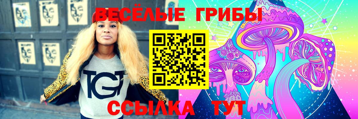 Галлюциногенные грибы Cubensis Воткинск
